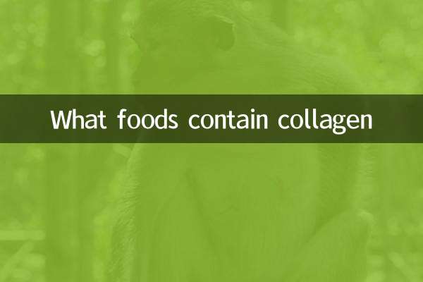 Quais alimentos contêm colágeno