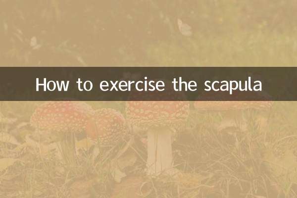 How to exercise the scapula