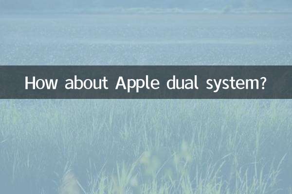¿Qué tal el sistema dual de Apple?