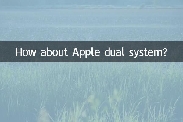 ¿Qué tal el sistema dual de Apple?