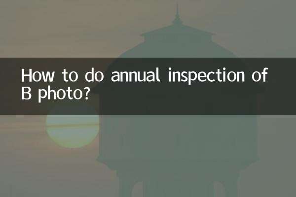 ¿Cómo hacer la inspección anual de la foto B?