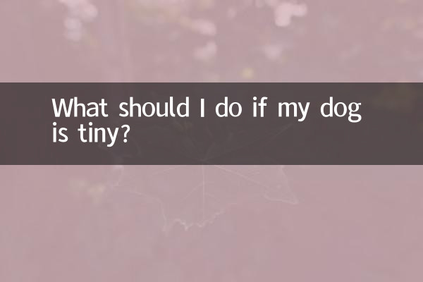 Was soll ich tun, wenn mein Hund winzig ist?