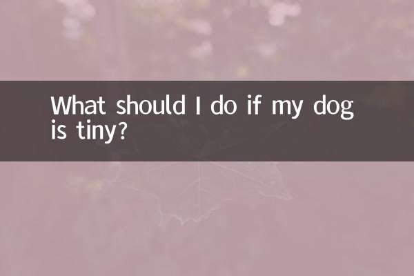 Was soll ich tun, wenn mein Hund winzig ist?