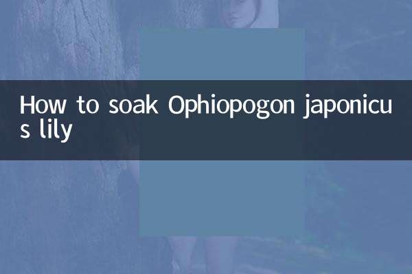 How to soak Ophiopogon japonicus lily