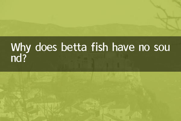 Por que o peixe betta não tem som?