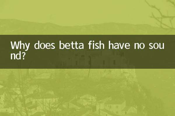 Por que o peixe betta não tem som?