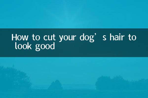 So schneiden Sie die Haare Ihres Hundes, damit er gut aussieht