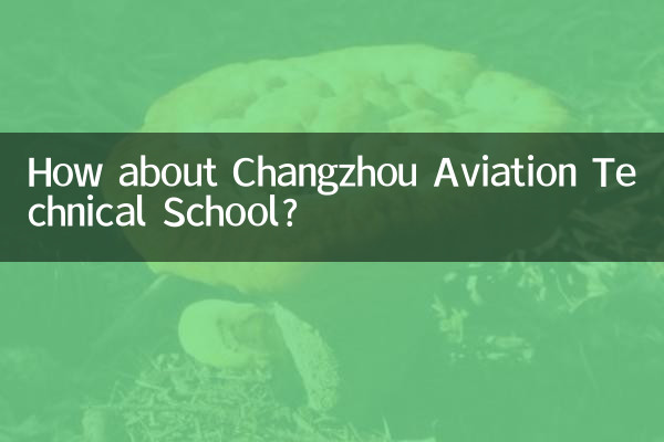 How about Changzhou Aviation Technical School?