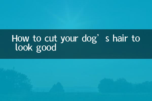 چگونه موهای سگ خود را کوتاه کنیم تا زیبا به نظر برسند