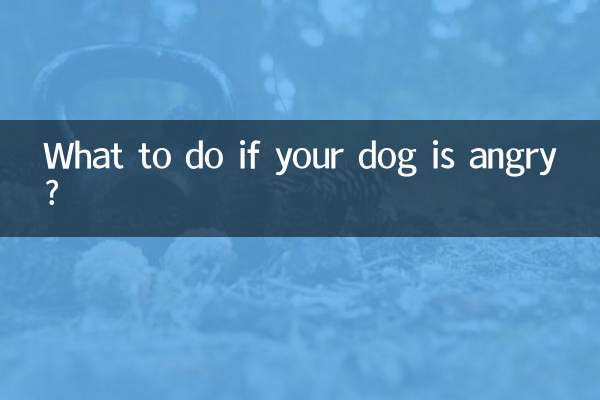 犬が怒ったらどうすればいいですか？