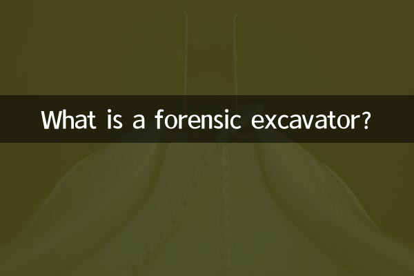 Qu'est-ce qu'une excavatrice médico-légale ?