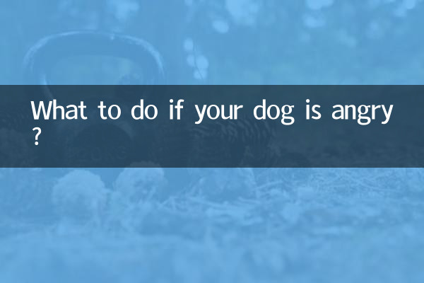 अगर आपका कुत्ता गुस्से में है तो क्या करें?