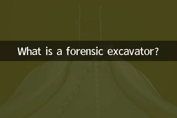 Qu'est-ce qu'une excavatrice médico-légale ?