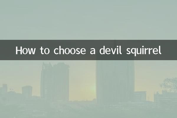 Как выбрать дьявольскую белку