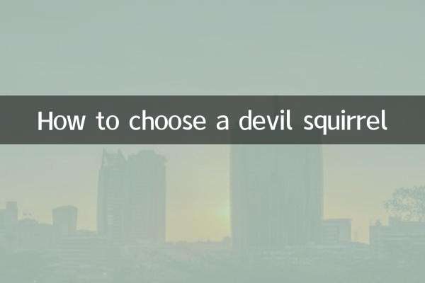 Как выбрать дьявольскую белку