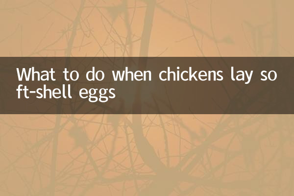 Que faire lorsque les poules pondent des œufs à coquille molle