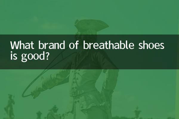 ¿Qué marca de zapatos transpirables es buena?