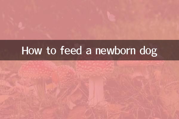 नवजात कुत्ते को कैसे खिलाएं