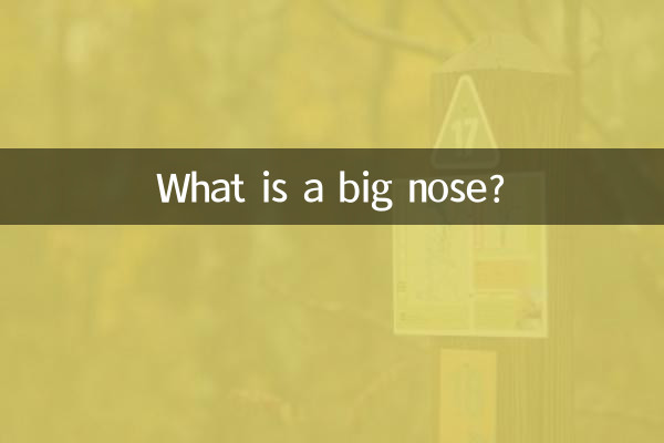 大きな鼻とは何ですか?