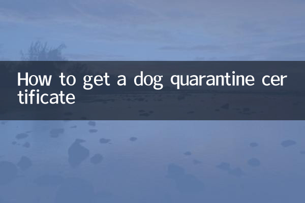 犬の検疫証明書の取得方法