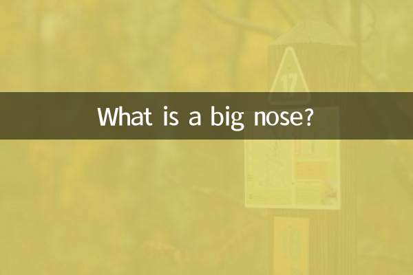 ایک بڑی ناک کیا ہے؟