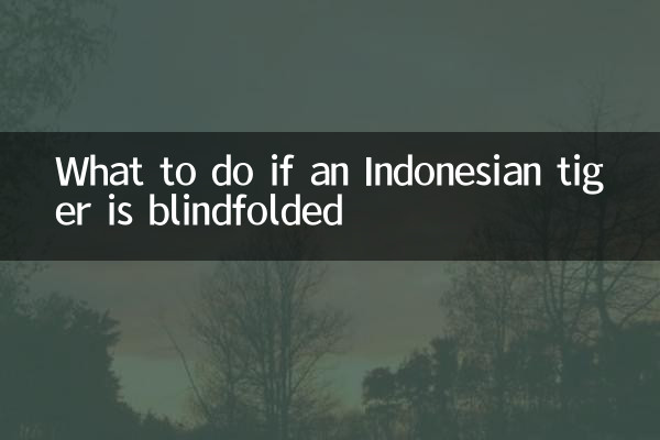 印尼虎蒙眼怎麼辦