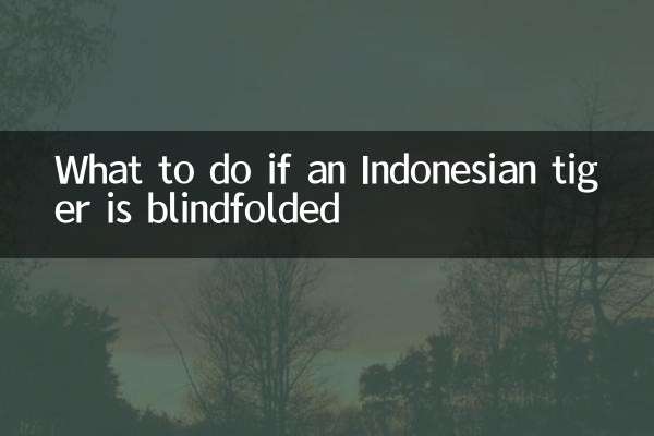 Was tun, wenn einem indonesischen Tiger die Augen verbunden sind?
