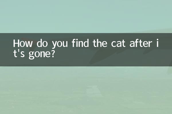 How do you find the cat after it's gone?