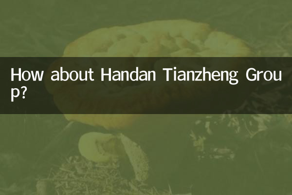 Que tal o Grupo Handan Tianzheng?