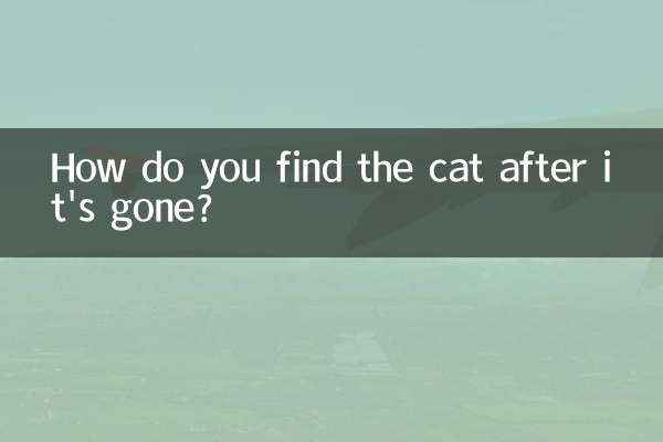 How do you find the cat after it's gone?