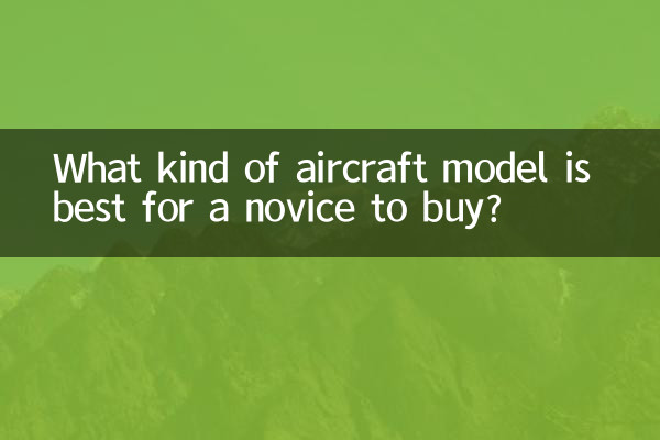초보자가 구입하는 데 가장 적합한 항공기 모델은 무엇입니까?