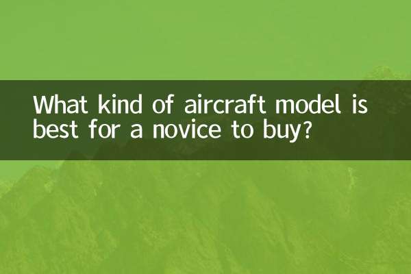 초보자가 구입하는 데 가장 적합한 항공기 모델은 무엇입니까?