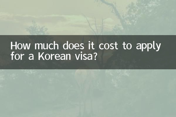 How much does it cost to apply for a Korean visa?