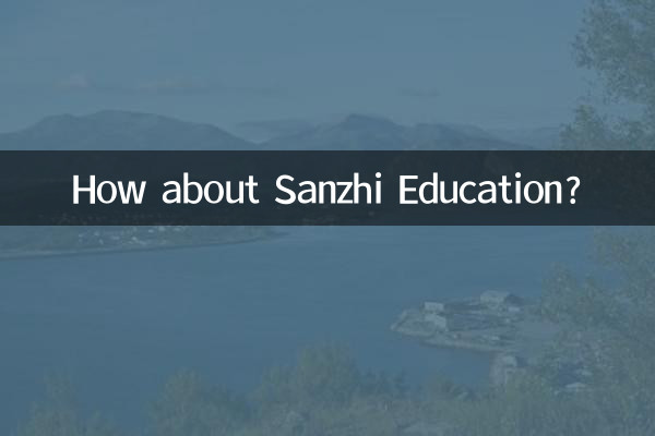 How about Sanzhi Education?