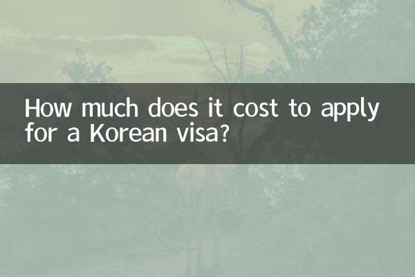 How much does it cost to apply for a Korean visa?