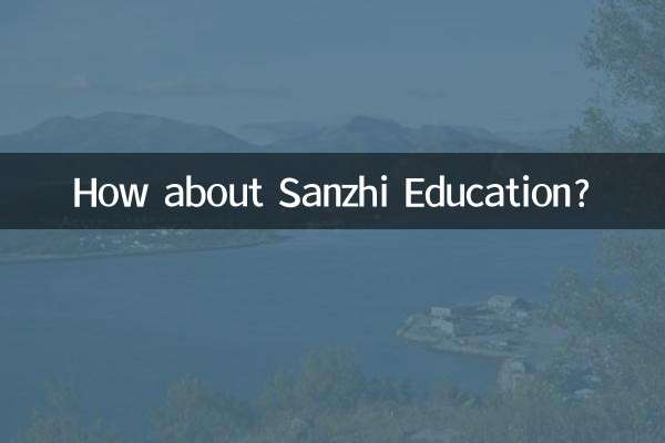 How about Sanzhi Education?