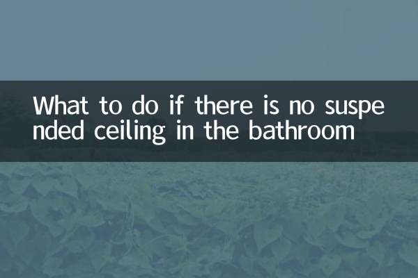 What to do if there is no suspended ceiling in the bathroom