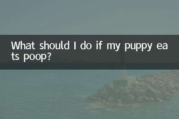What should I do if my puppy eats poop?