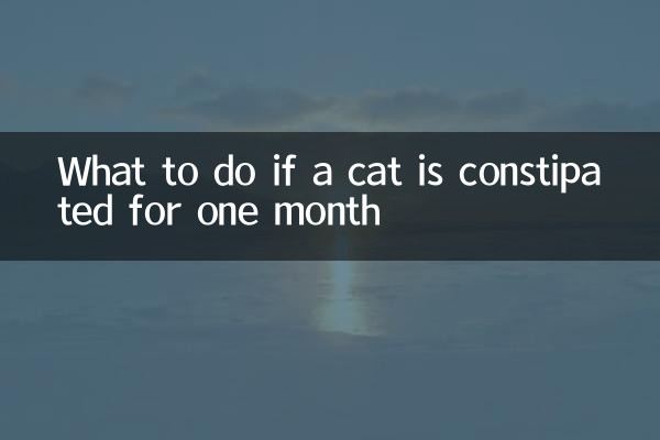 What to do if a cat is constipated for one month