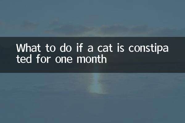 What to do if a cat is constipated for one month
