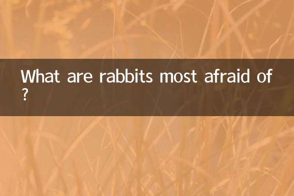 خرگوش کس چیز سے سب سے زیادہ خوفزدہ ہیں؟