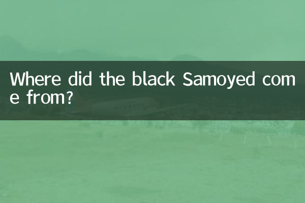 Where did the black Samoyed come from?