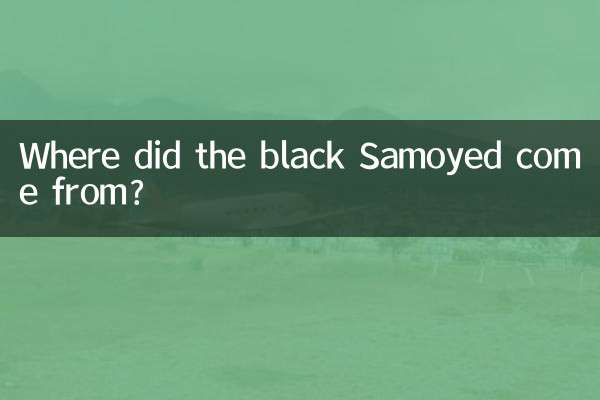 Where did the black Samoyed come from?