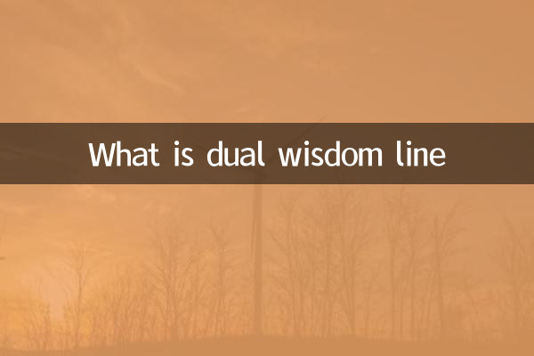 خط حکمت دوگانه چیست
