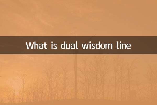 خط حکمت دوگانه چیست