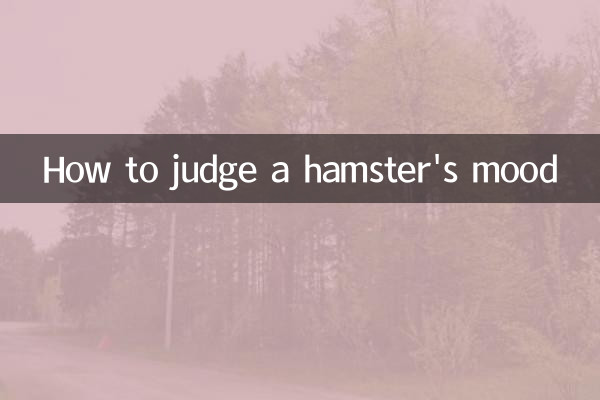 نحوه قضاوت در مورد خلق و خوی همستر