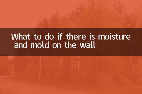 Was tun bei Feuchtigkeit und Schimmel an der Wand?