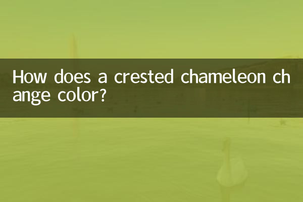 कलगीदार गिरगिट रंग कैसे बदलता है?