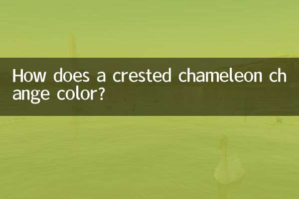 Comment un caméléon à crête change-t-il de couleur ?