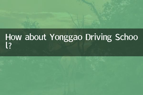 How about Yonggao Driving School?